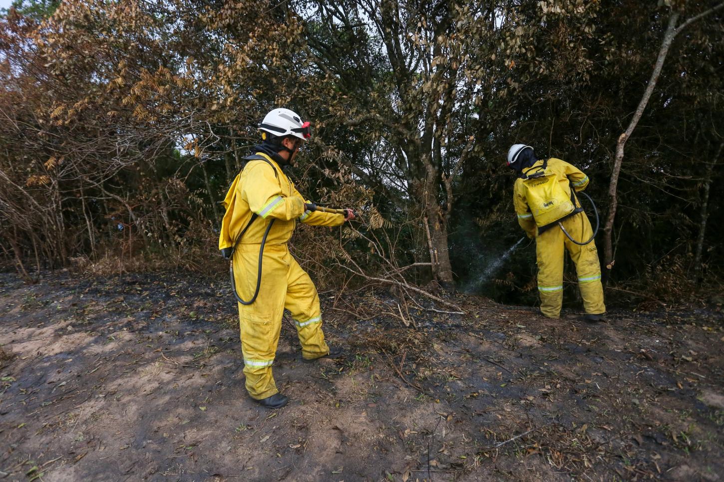 Governo prorroga fechamento dos Parques Estaduais para evitar incêndios