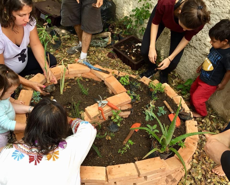 Sesc São Caetano promove atividades de conscientização ambiental em fevereiro 