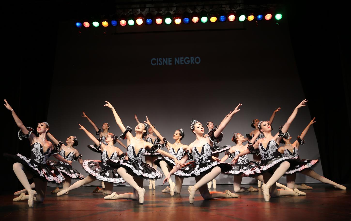 Prefeitura de São Caetano abre inscrições para curso de Ballet Clássico na Escola de Bailado Laura Thomé
