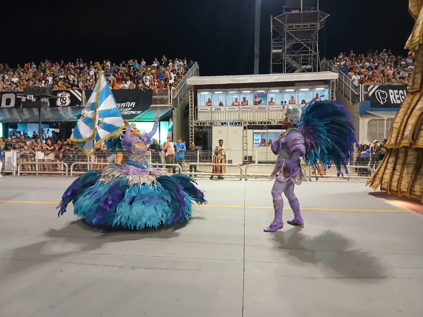 Carnaval 2025 - Império da Casa Verde