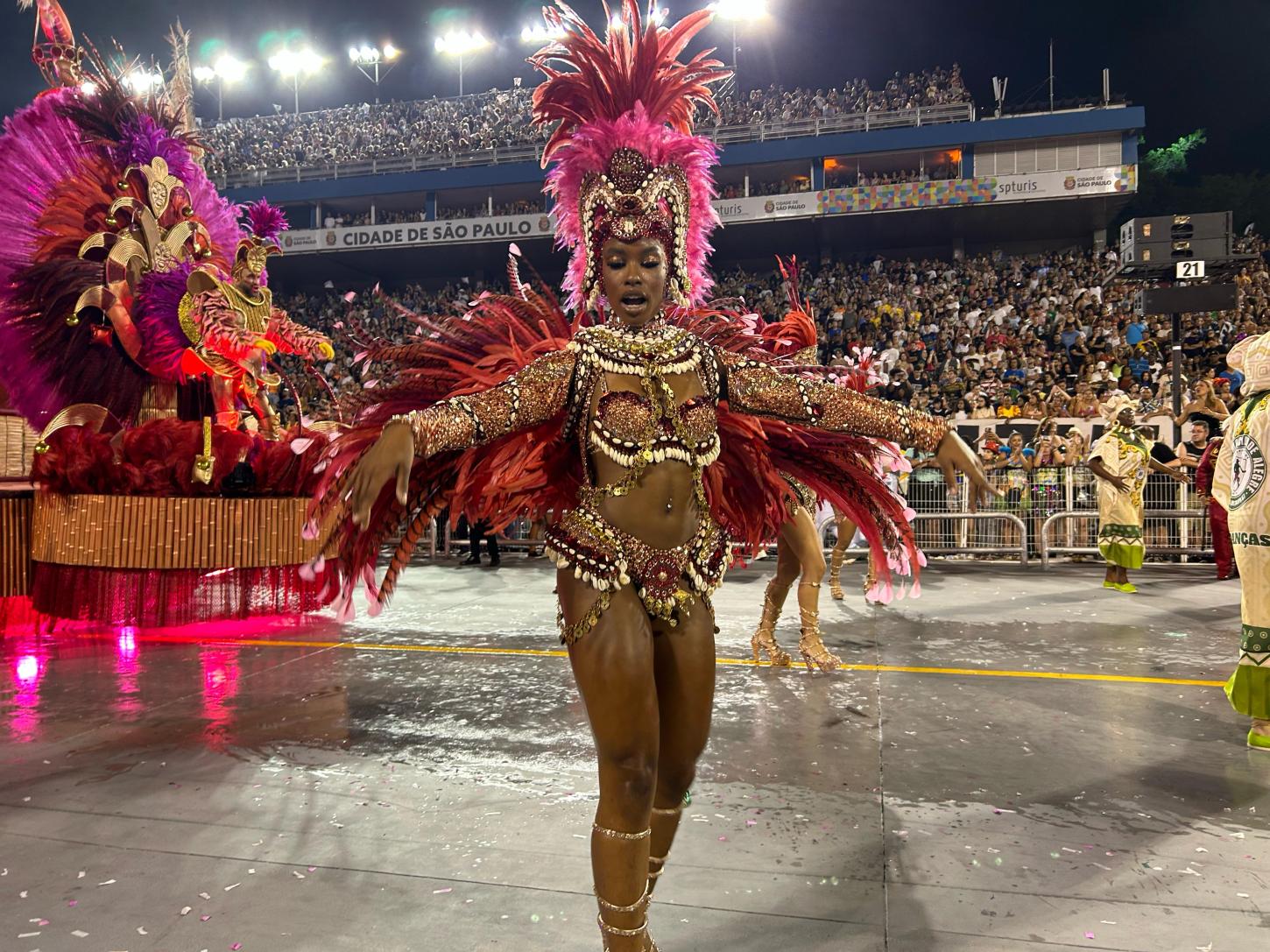 Carnaval 2025 - Mocidade Alegre