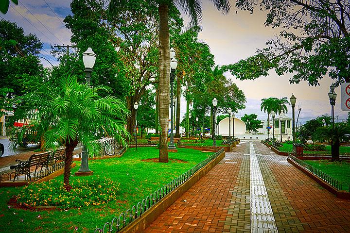 Estado de São Paulo tem as cidades mais arborizadas do país