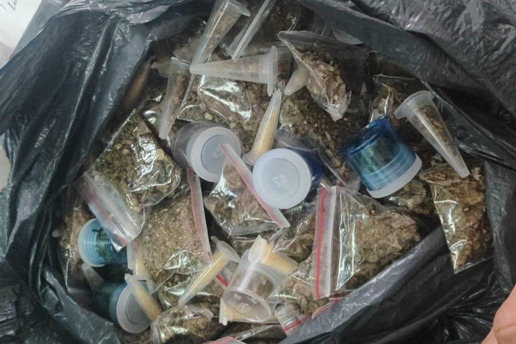 Patrulhamento da GCM de São Caetano resulta em prisões e apreensão de drogas em Santo André
