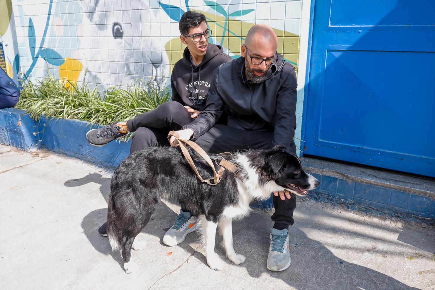 São Caetano realiza mutirão de castração de cães e gatos