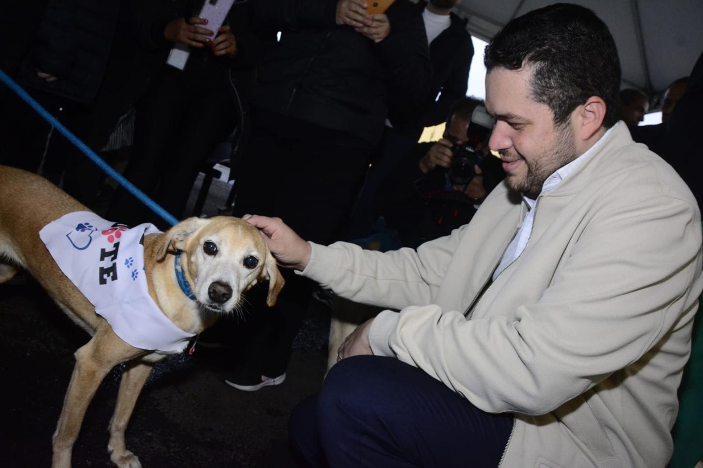 Santo André lança programa que facilita a adoção responsável e incentiva o voluntariado em prol dos animais
