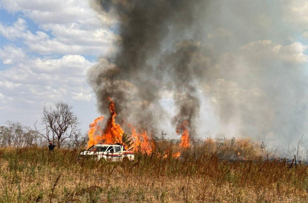 Governo de SP confirma 17 animais vítimas de incêndios florestais em 2025