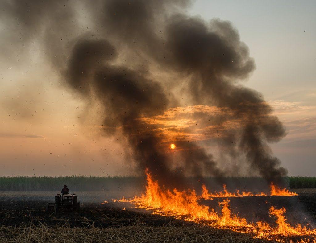 Operação SP Sem Fogo registra maior queda no índice de queimadas da história