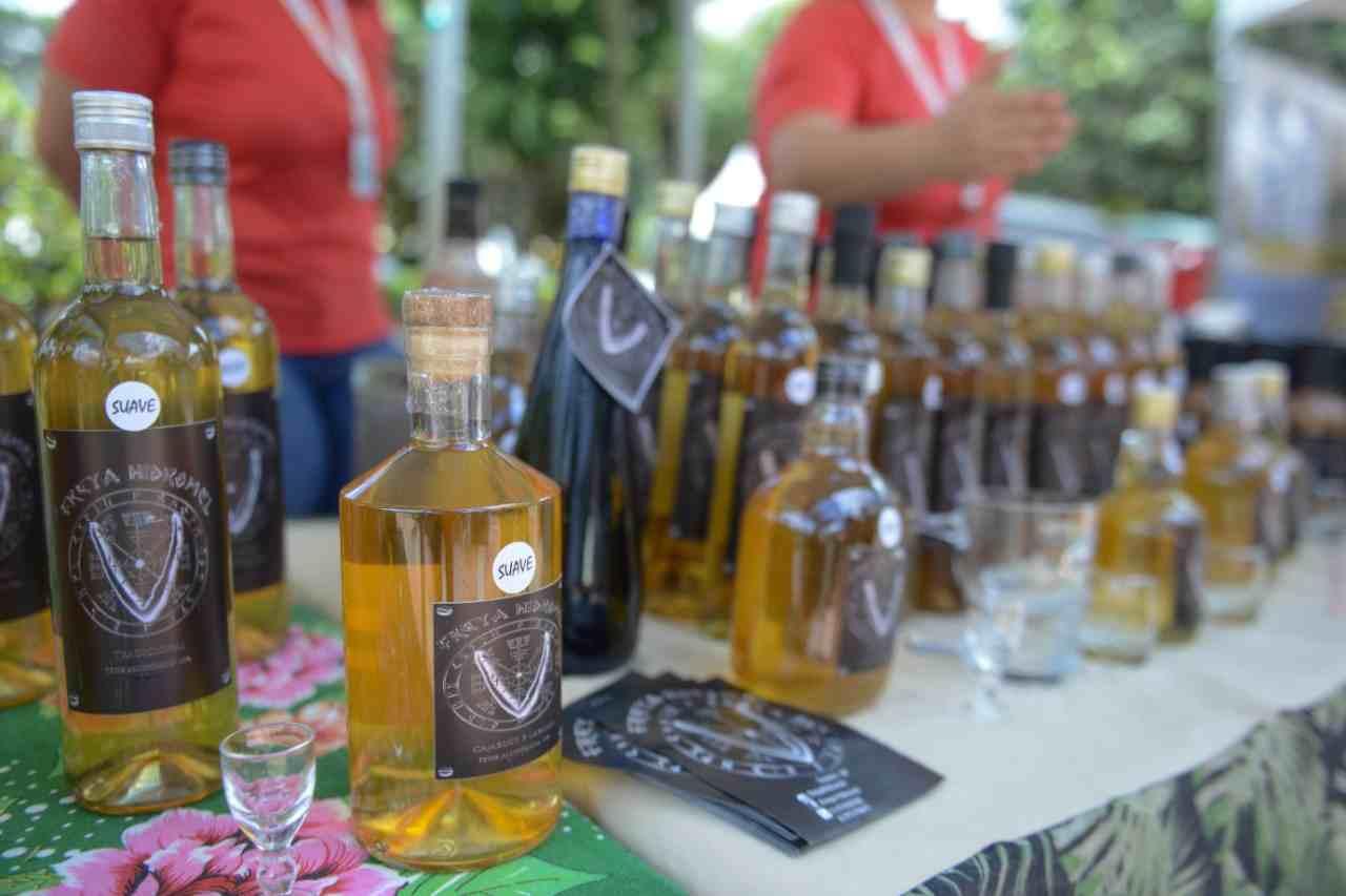 São Bernardo celebra 8ª edição do Festival do Cambuci no Parque Salvador Arena em abril