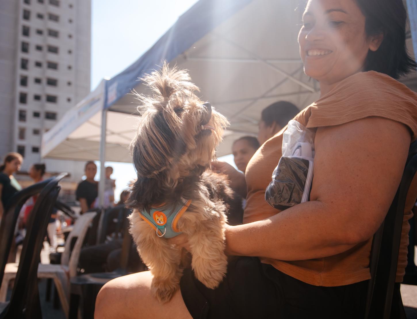 São Bernardo inicia mutirão de castração gratuita para 800 animais no Ginásio Poliesportivo