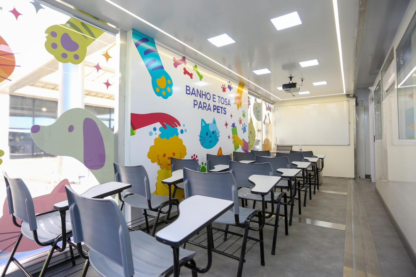 Santo André abre inscrições para curso gratuito de capacitação para banhista de pet