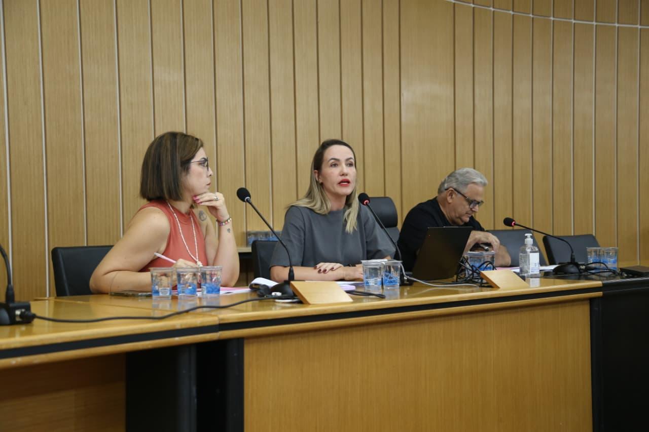 Secretaria de Cultura de São Caetano apresenta balanço de atividades de 2025 em audiência pública