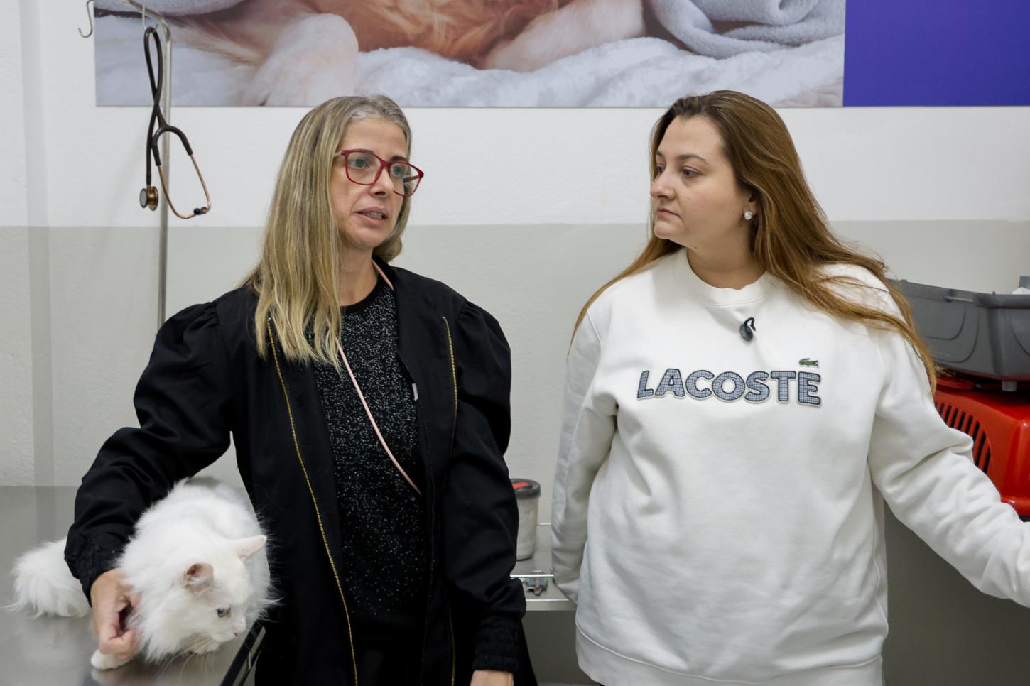 Casa Caramelo consolida-se como referência no tratamento de felinos com doenças infectocontagiosas