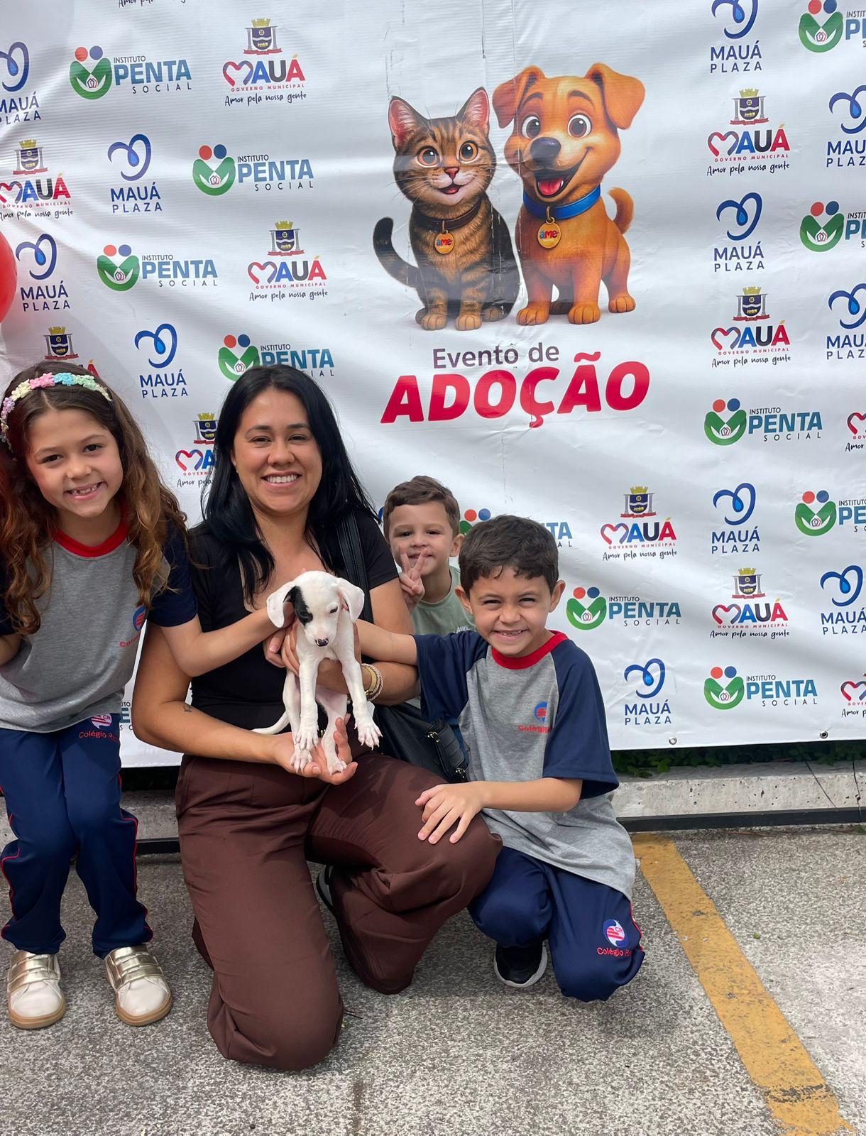 Evento de adoção em Mauá garante novos lares para doze animais no último final de semana