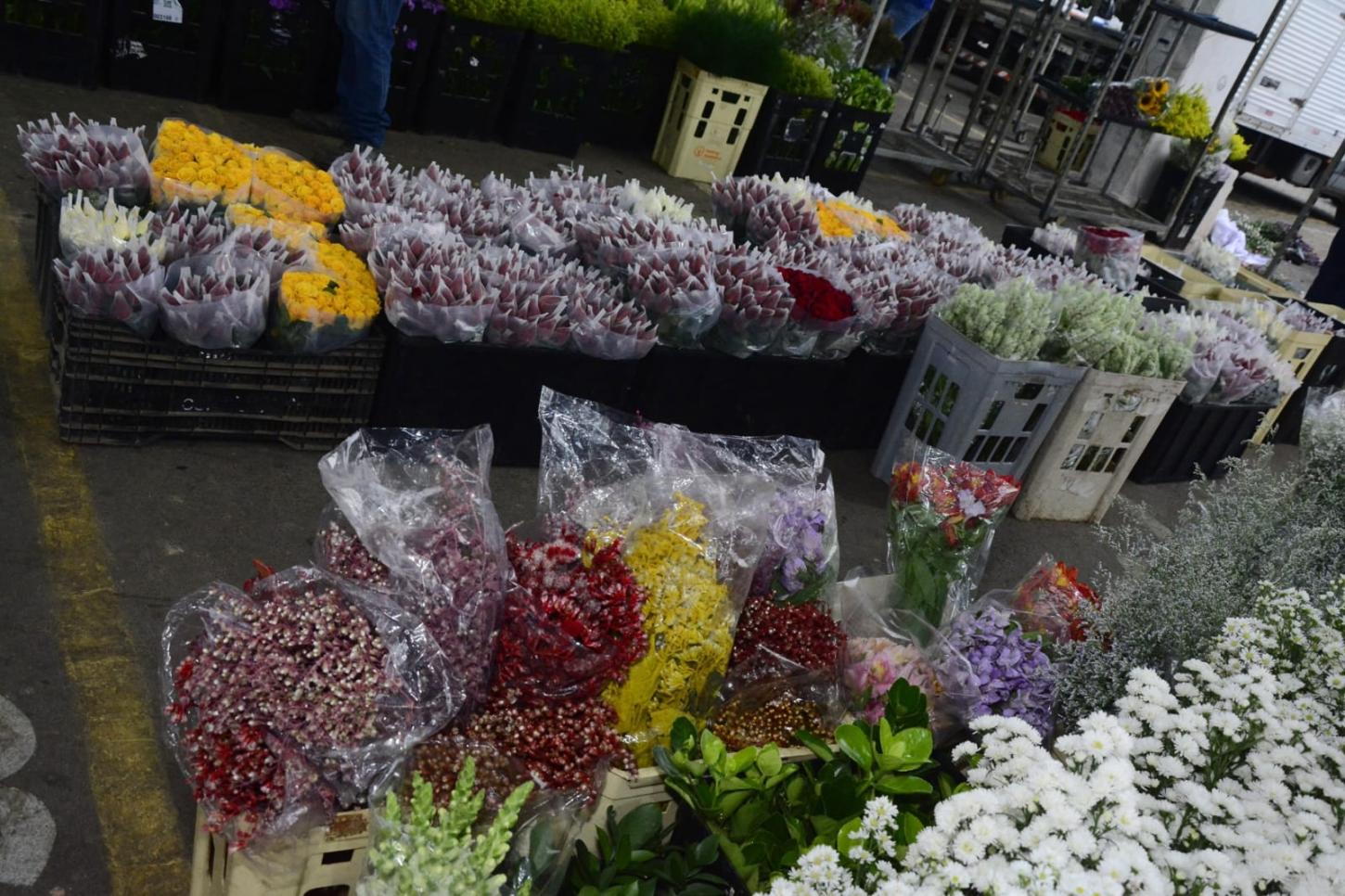 Mercado de Flores da Craisa projeta alta de até 10% nas vendas para o Dia das Mães