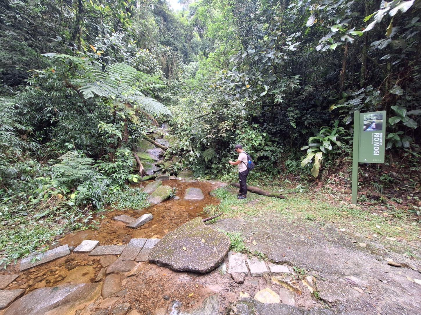 Santo André celebra Dia da Mata Atlântica com programação gratuita de trilhas e educação ambiental