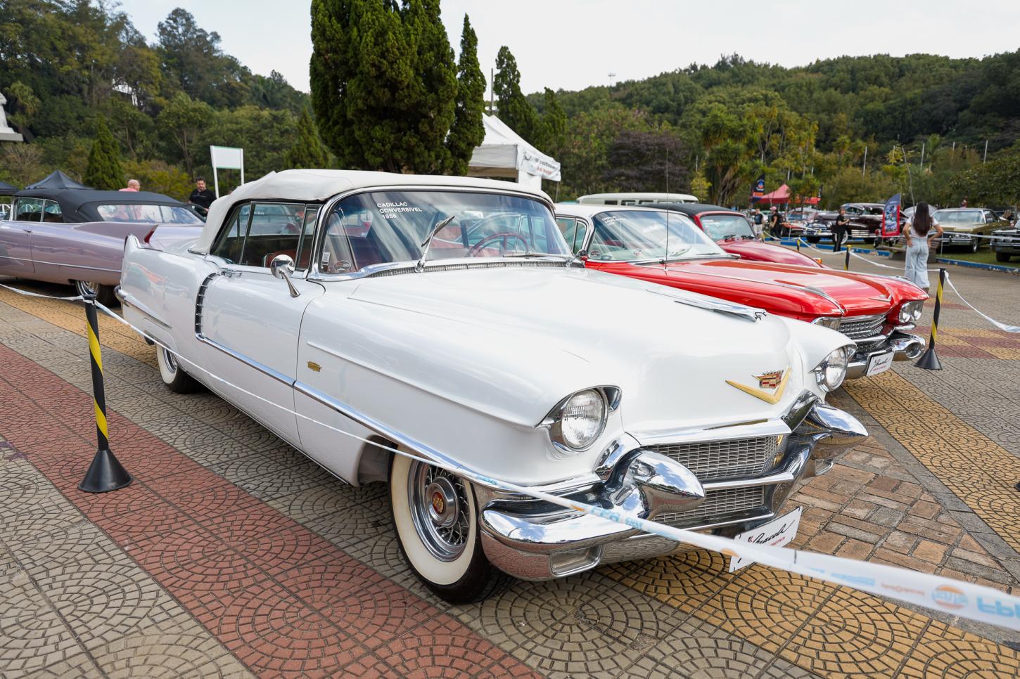 São Caetano abre inscrições para Mercado de Pulgas da Exposição de Carros Antigos