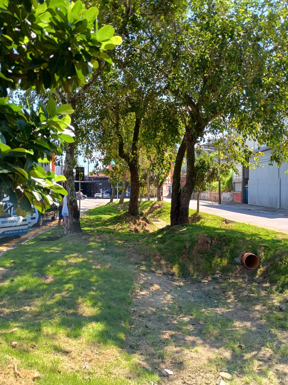 Santo André abre programação do Junho Verde com foco em sustentabilidade e mudanças climáticas
