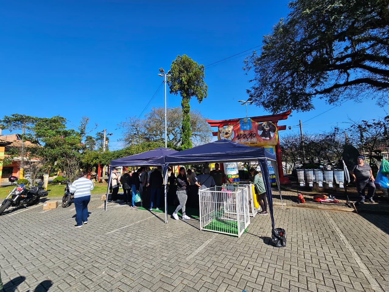 Festival do Chocolate de Ribeirão Pires oferece práticas de bem-estar e feira de adoção pet