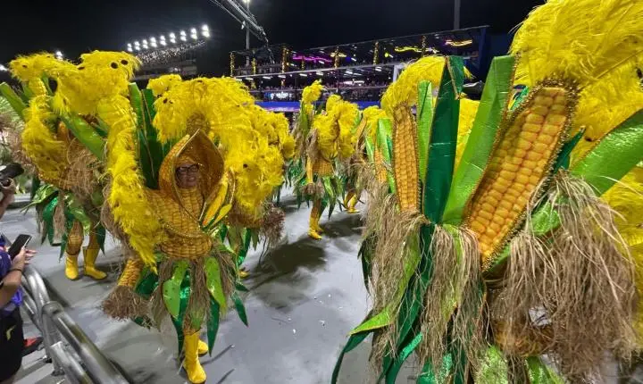 Acadêmicos do Tatuapé  - Carnaval 2026