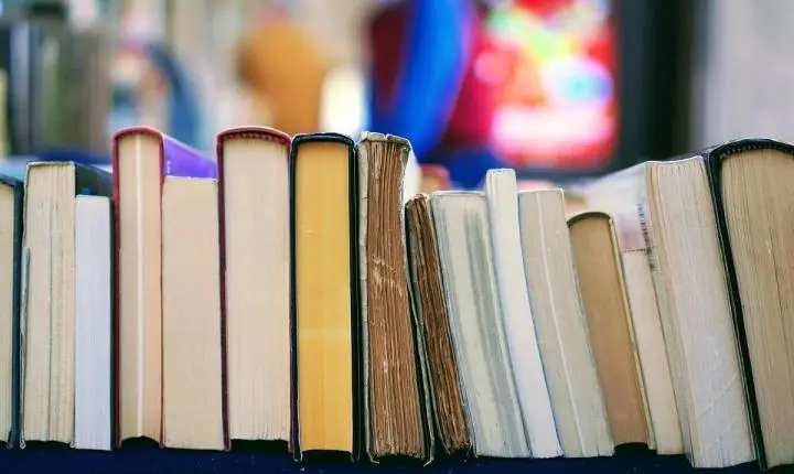 Dia do Escritor: veja autores que são destaque no estado de SP
