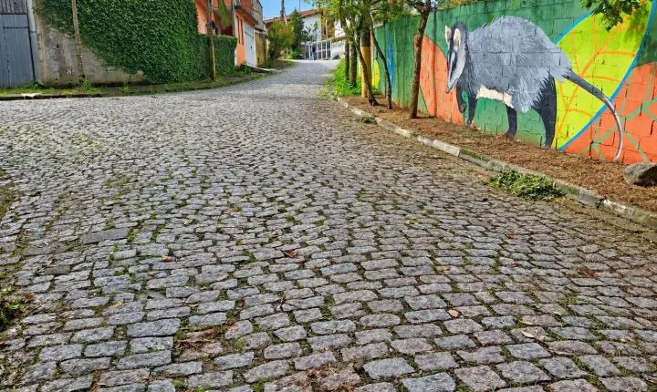 Equipes de Zeladoria ampliam serviços de limpeza, manutenção e conservação em Ribeirão Pires