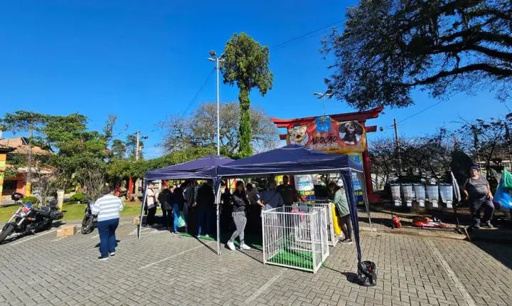 Festival do Chocolate de Ribeirão Pires oferece práticas de bem-estar e feira de adoção pet