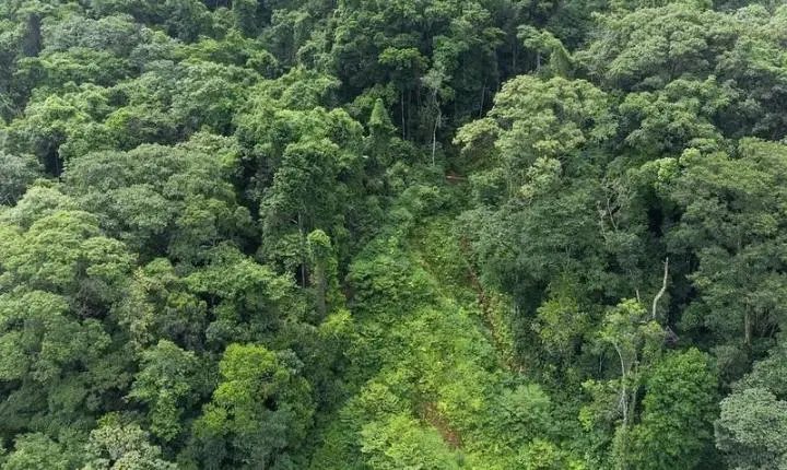 Fundação Florestal de SP encerra inscrições de concurso público para 68 vagas neste domingo