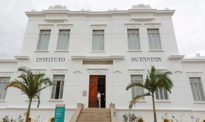 Instituto Butantan e Hemocentro de Ribeirão Preto firmam acordo para desenvolvimento de terapias avançadas contra doenças autoimunes