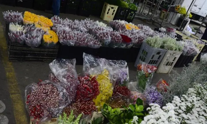 Mercado de Flores da Craisa projeta alta de até 10% nas vendas para o Dia das Mães