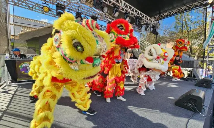 Paço Municipal de Ribeirão Pires sedia edição 2026 do Festival Oriental no próximo fim de semana