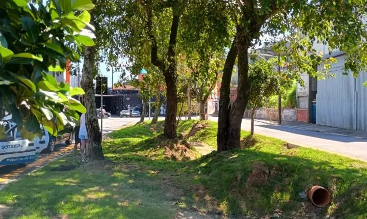 Santo André abre programação do Junho Verde com foco em sustentabilidade e mudanças climáticas